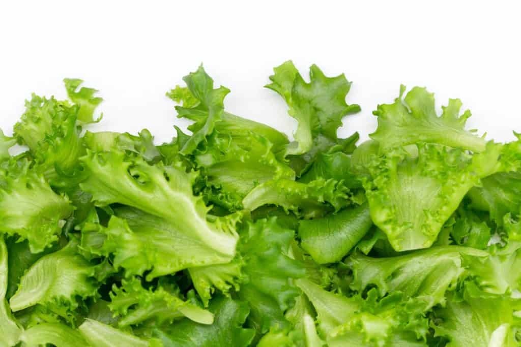 lettuce green vegetable on white background