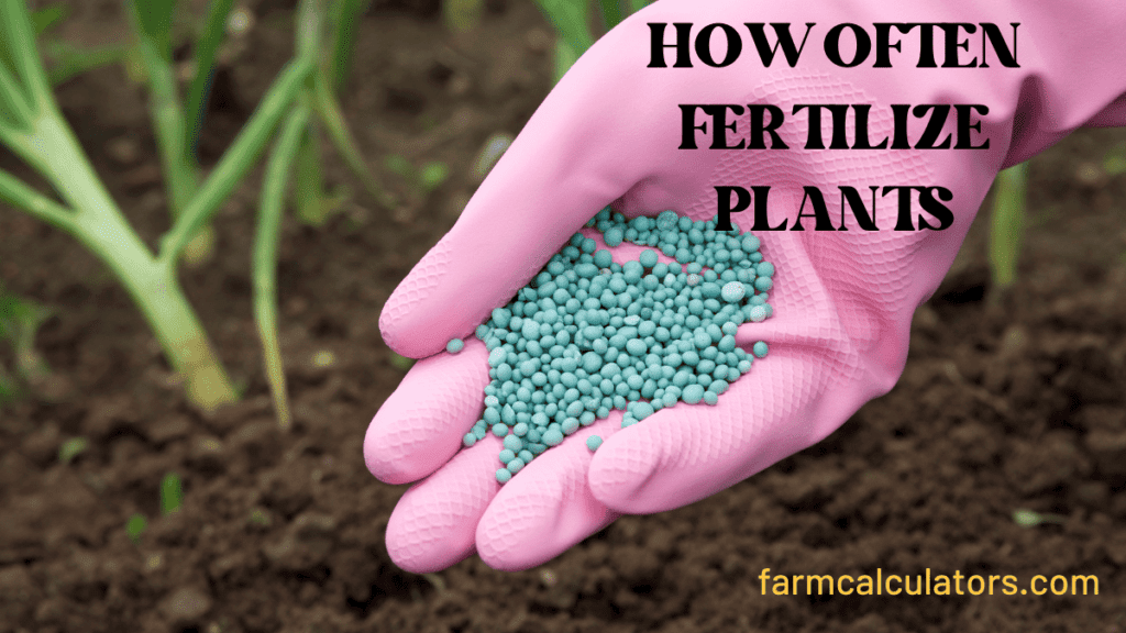How often fertilize plants